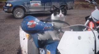 Woody’s Cycles newest Berg racer